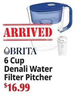 Ocean State Job Lot Brita 6 cup denali water filter pitcher offer