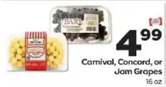 Carnival, Concord, or Jam Grapes