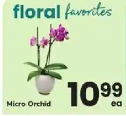 ACME Floral Favorites Micro Orchid offer