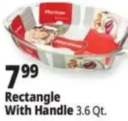 Ocean State Job Lot Morliner Rectangle With Handle offer