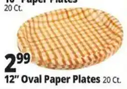 Ocean State Job Lot 12" Oval Paper Plates offer