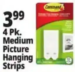 Ocean State Job Lot Command medium picture hanging strips offer