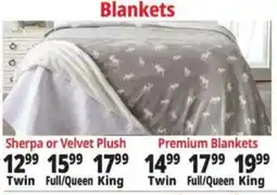 Ocean State Job Lot Sherpa or Velvet Plush Blankets offer
