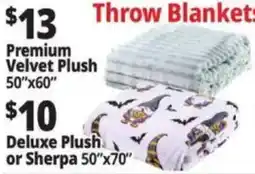 Ocean State Job Lot Throw Blankets offer