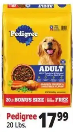 Ocean State Job Lot Pedigree adult offer