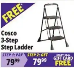 Ocean State Job Lot Cosco 3-step step ladder offer