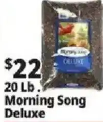 Ocean State Job Lot Morning Song Deluxe offer