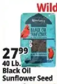 Ocean State Job Lot Wild Bird Black Oil Sunflower Seed offer