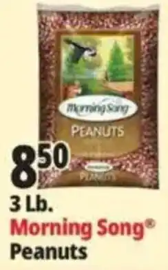 Ocean State Job Lot Morning Song Peanuts offer