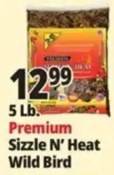 Ocean State Job Lot Premium Sizzle N' Heat Wild Bird offer