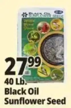 Ocean State Job Lot Black Oil Sunflower Seed offer