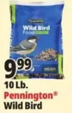 Ocean State Job Lot Pennington Wild Bird offer