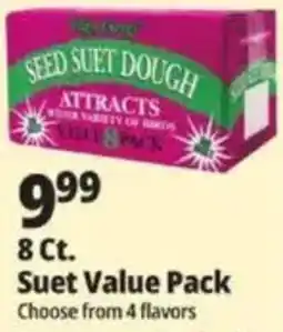 Ocean State Job Lot Birds Choice seed suet dough offer