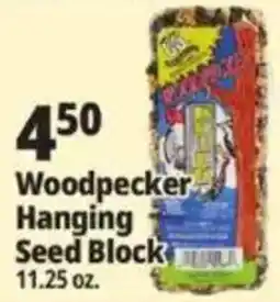 Ocean State Job Lot Woodpecker Hanging Seed Block offer