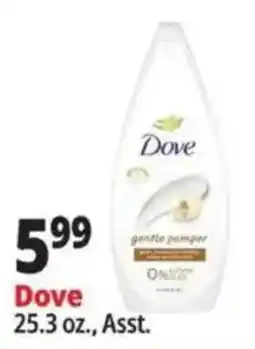 Ocean State Job Lot Dove gentle pamper offer