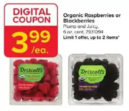 GIANT Driscoll's organic raspberries or blackberries offer