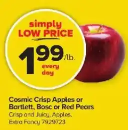 GIANT Cosmic Crisp Apples or Bartlett, Bosc or Red Pears offer