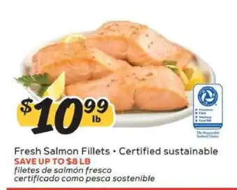 Fresh Salmon Fillets