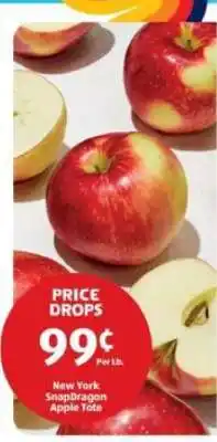 Aldi New York SnapDragon Apple Tote offer