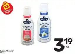 Randalls Lucerne Creamer offer