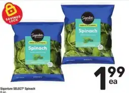 Randalls Signature Select Spinach offer