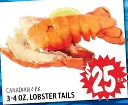 Karns Canadian lobster tails offer
