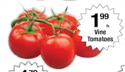 Harvest Foods Vine Tomatoes offer