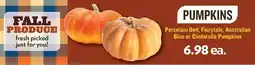 Reasors Pumpkins offer