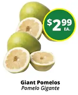 Rancho Markets Giant Pomelos offer