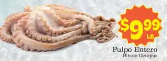 Whole Octopus
