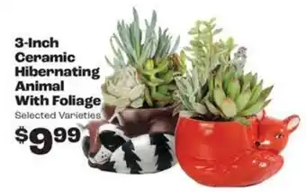 Ceramic Hibernating Animal With Foliage