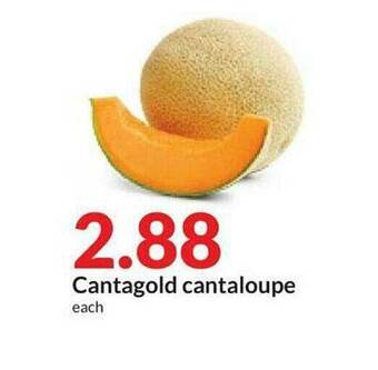 Hy-Vee Cantagold Cantaloupe offer
