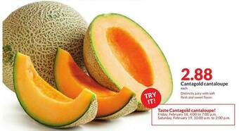 Hy-Vee Cantagold Cantaloupe offer