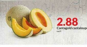 Hy-Vee Cantagold Cantaloupe offer