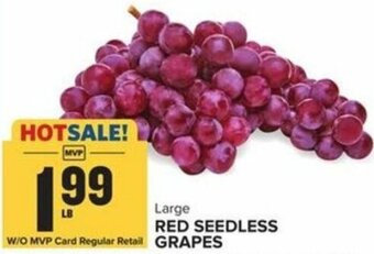 Food Lion Red Seedless Grapes offer