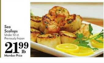 Pavilions Sea Scallops offer