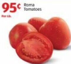 Aldi Roma Tomatoes offer
