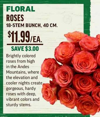 Central Market Floral Roses offer