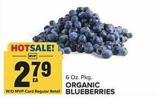 Food Lion Organic Blueberries offer