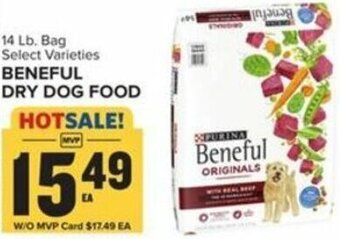 Food Lion Beneful Dry Dog Food offer