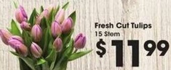 Kroger Fresh Cut Tulips offer
