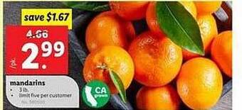 Lidl Mandarins offer