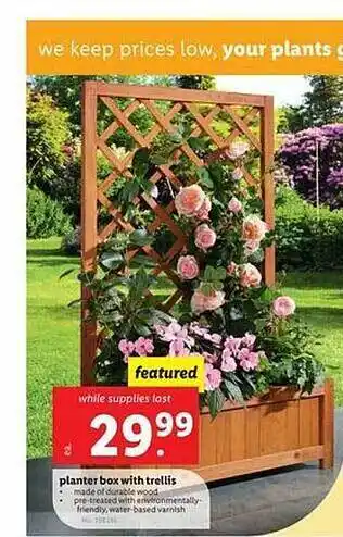 Lidl Planter Box With Trellis offer