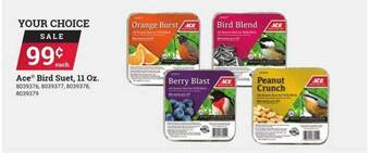 Ace Hardware Ace Bird Suet offer