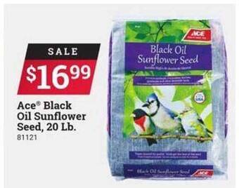 Ace Hardware Ace Black Oil Sunflower Seed 20 Lb. offer