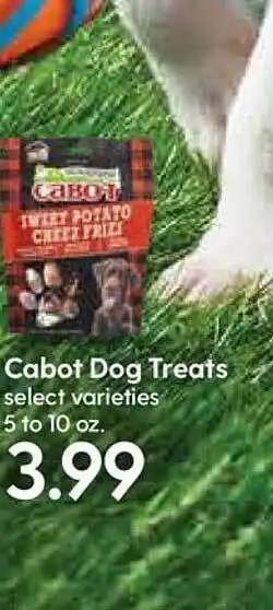 Hy-Vee Cabot Dog Treats offer