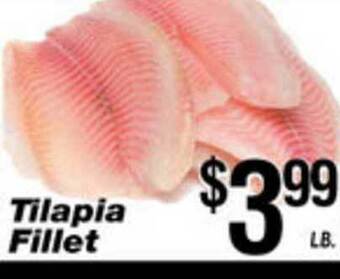 Associated Tilapia Fillet offer