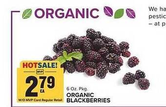 Food Lion Organic Blackberries offer