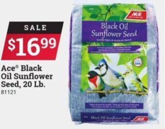 Ace Hardware Ace Black Oil Sunflower Seed offer