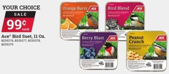 Ace Hardware Ace Bird Suet 11 oz offer